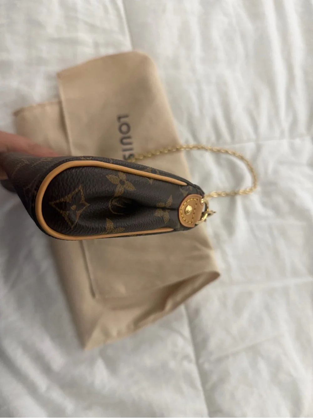 Louis Vuitton Eva Pochette